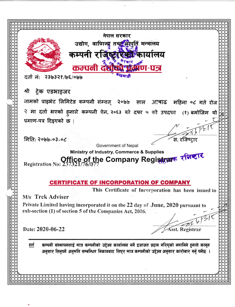 Certificate Of Incorporation Of Company.