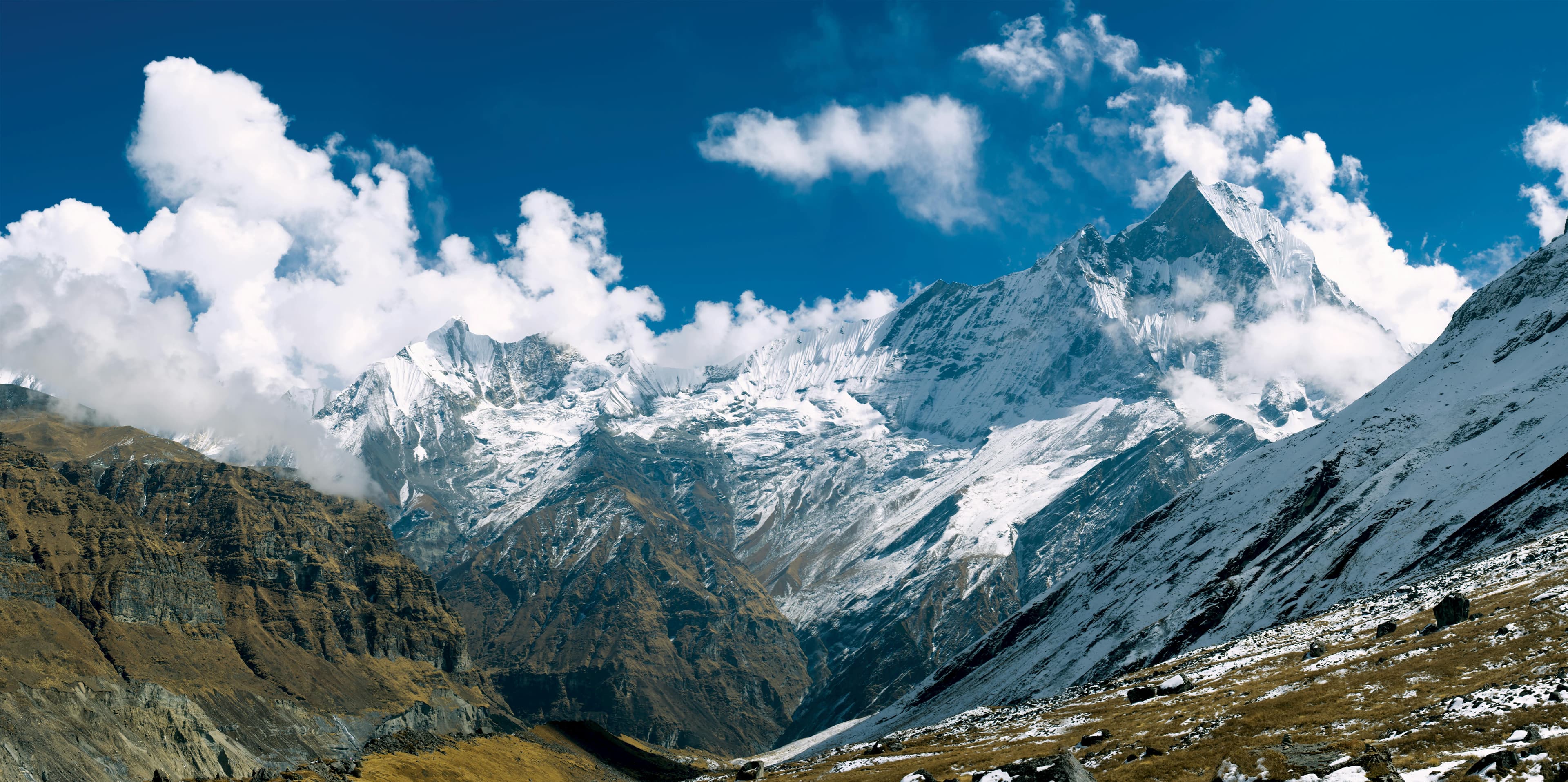 Travel Insurance