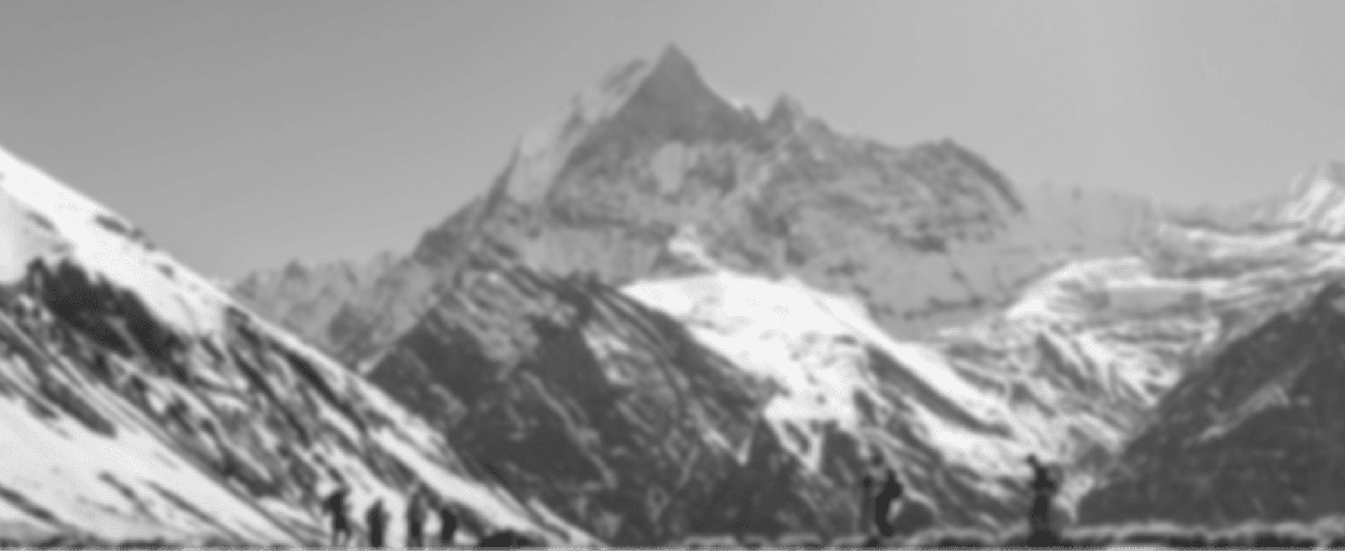 Team profile hero background